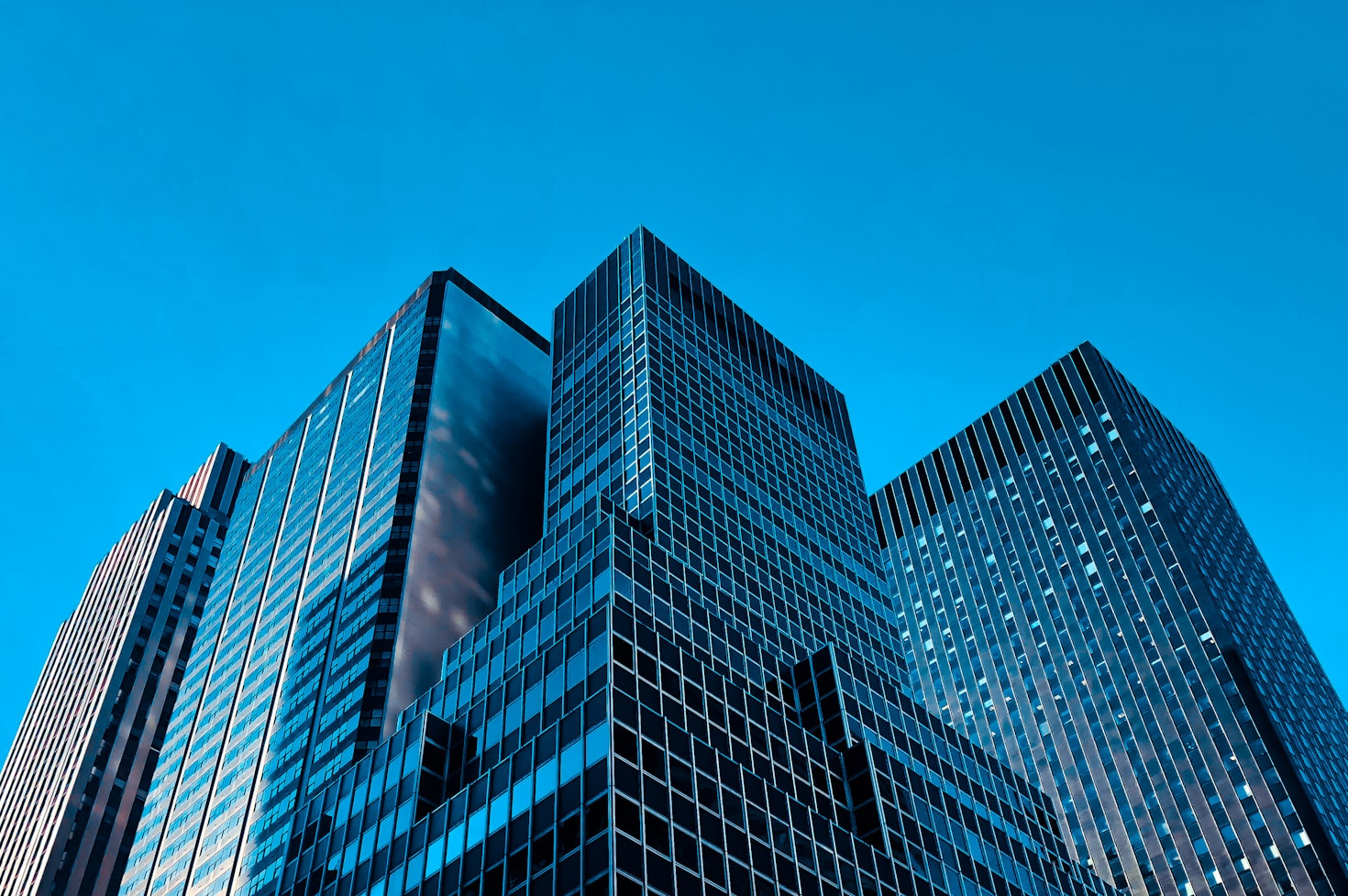 The Future of Business Development and Governance